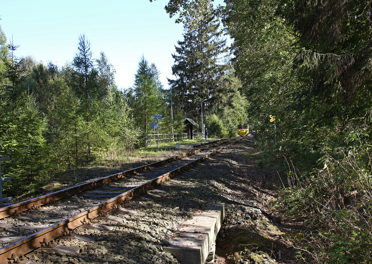 <a href="/Tema/Karlovice zastávka (žzast)">Karlovice zastávka</a>, opuštěnost malinkého nádraží překvapivě narušuje žlutořerný motoráček. Na chvíli nejsem sám, než hukot motoru zase utichne v lesích.