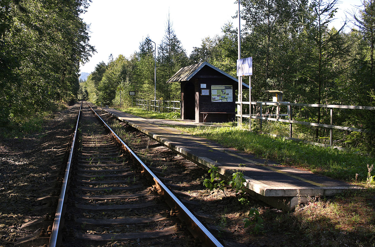 Opouštím zastávku a mířím zkusit štěstí při stopování.