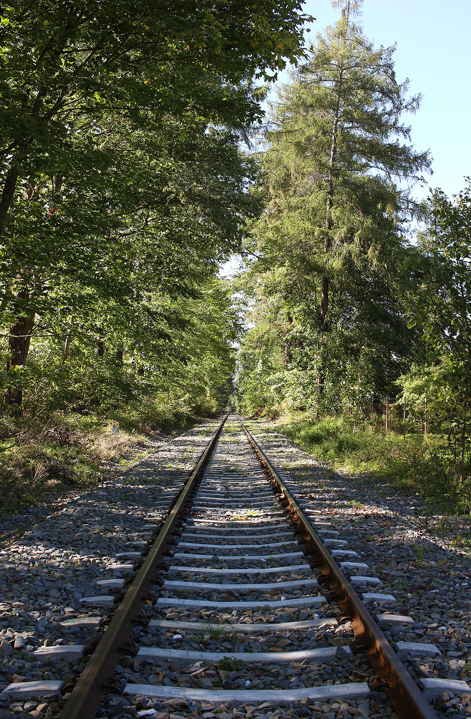 …kam koleje mě jednou dovedou…