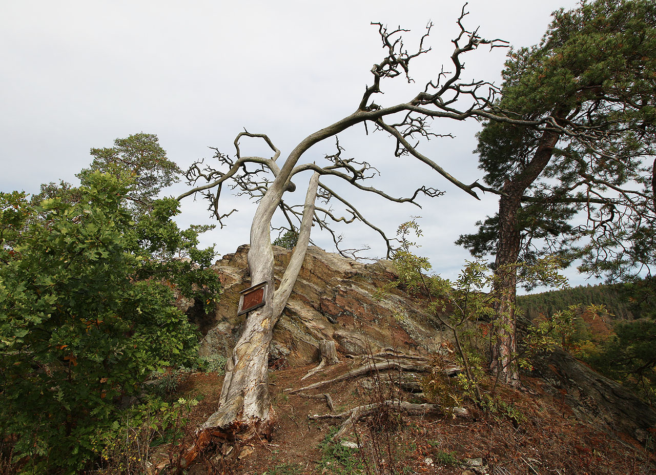 Nedělní ráno bylo takříkajíc kalné.