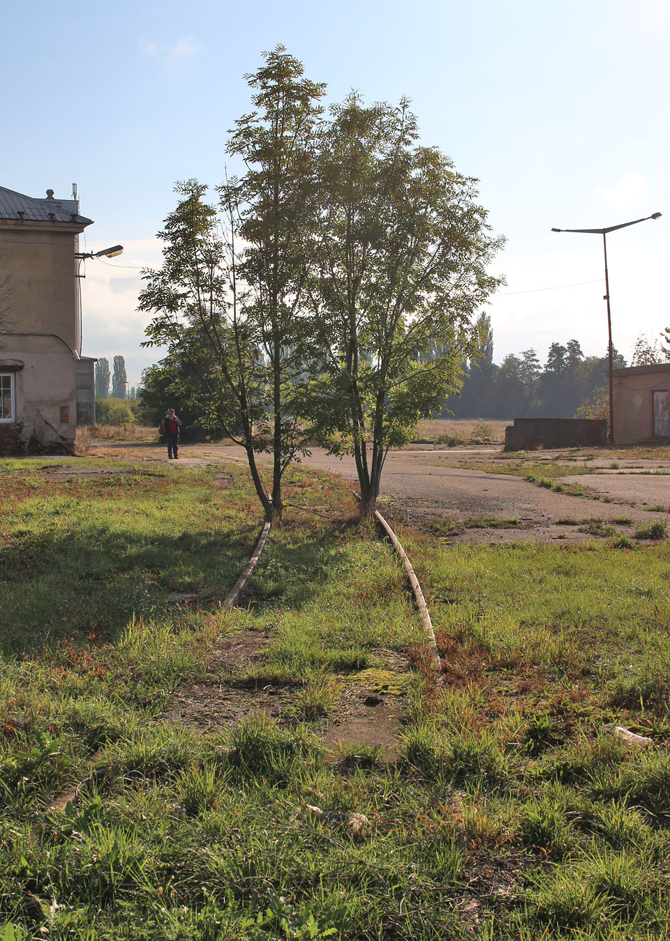 S Alpínem jsem se měl potkat ve vlaku z Prahy do Kolína, poté, co k němu nastoupím i s kolem v <a href="/Tema/Český Brod (žst)">Českém Brodě</a>. Protože na nádraží jsem přišel s určitým předstihem, pokusil jsem se blíže zdokumentovat <a href="/Tema/Vlečka Český Brod - cukrovar">místní vlečku</a>. Od toho mě však poněkud odradil ranní hlídač.
