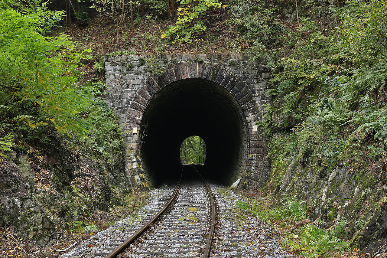 93,6 m dlouhý tunel je jedním ze dvou na <a href="/Tema/Železniční trať Kolín–Ledečko">trati 014 z Kolína do Ledečka</a>.