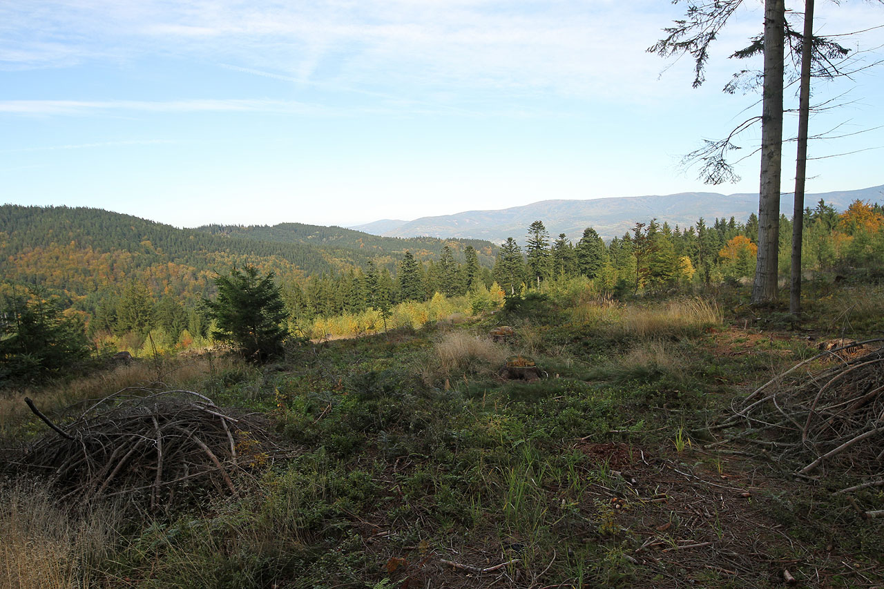 Dooledne trávím hledáním příjemných lesních zákoutí, pokud možno osamělejších, než je vlastní hřebenová značka, dnes docela frekventovaná.
