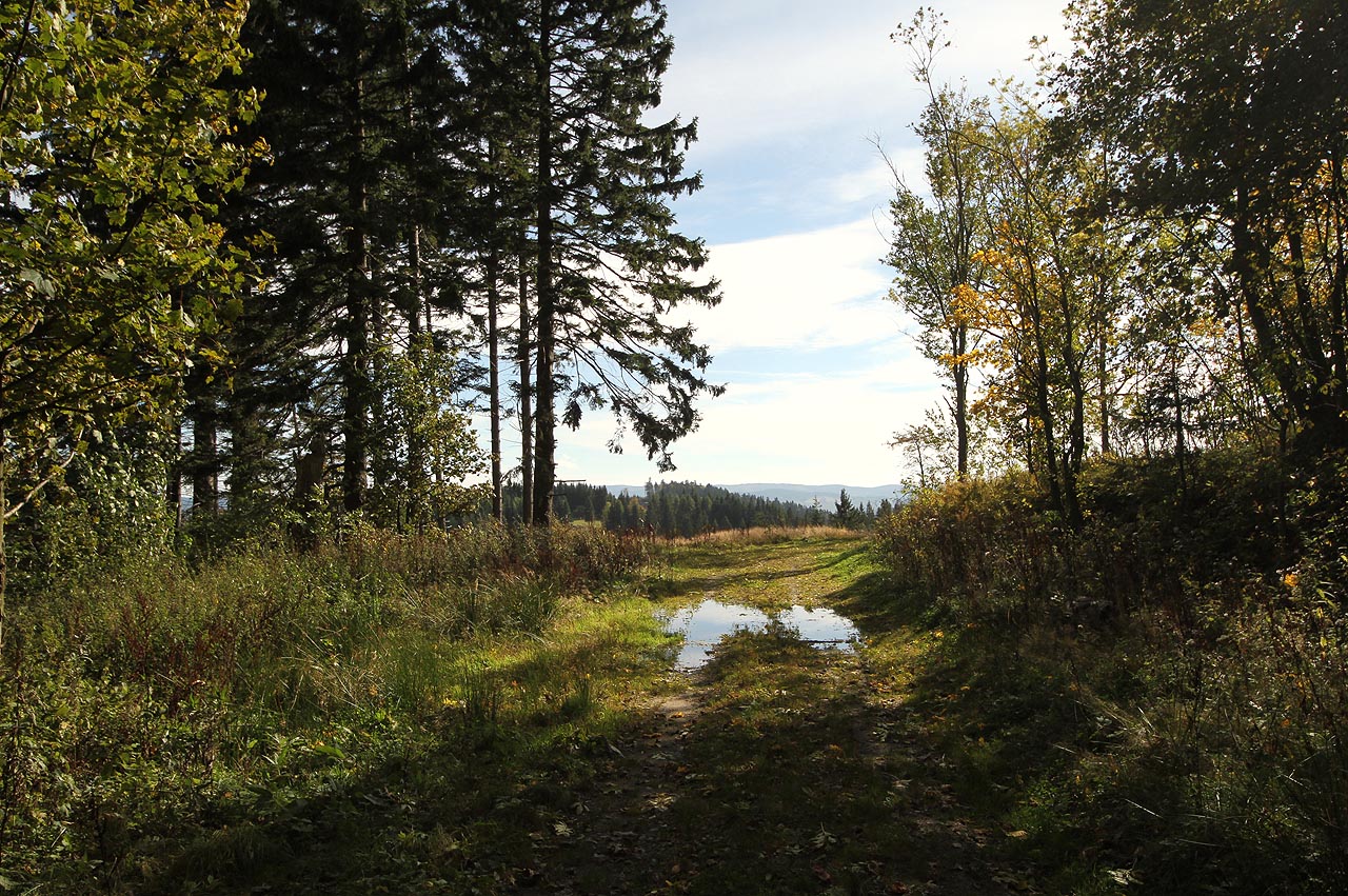 Hrozně rád bych si po cestě s někým popovídal. Ale nakonec je možná jen dobře, že nebylo, s kym.