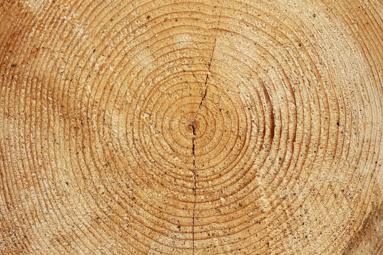 Zapomenutým údolím se konečně kdosi blížil. Místo mladší kamarádky ale přišel starší pán, co sem chodí každý den na zdravotní procházku. Chvíli jsme si povídali a když odešel, usoudil jsem, že sraz se nejspíš ruší. Mobilní signál tu nebyl a když se Barča neukázala, musel jsem vyrazit sám.