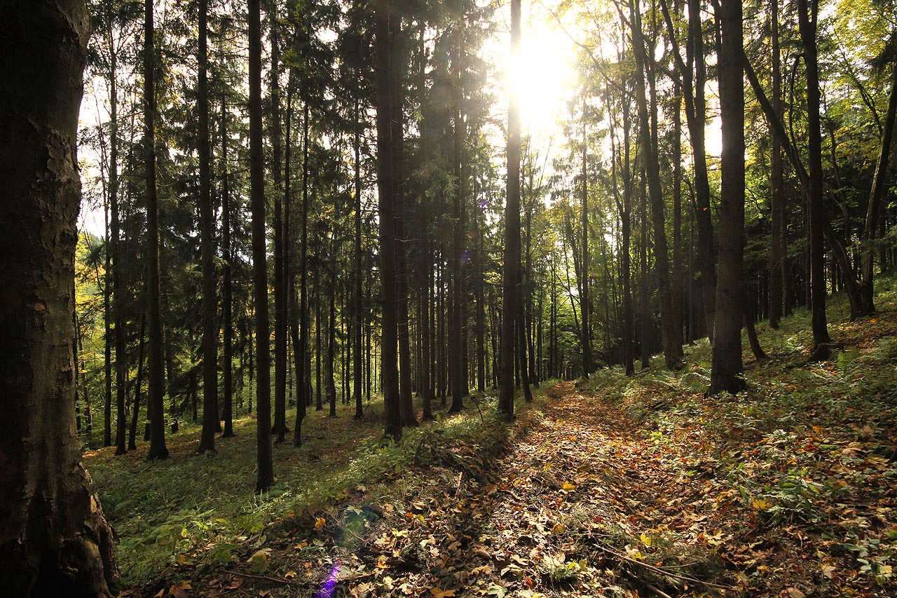 Teprve nahoře se po síti ujišťuji, že Barča je nemocná. Tak aspoň vím, že se jí nic vážného nestalo. Víkend holt pro jedenkrát strávím docela sám.