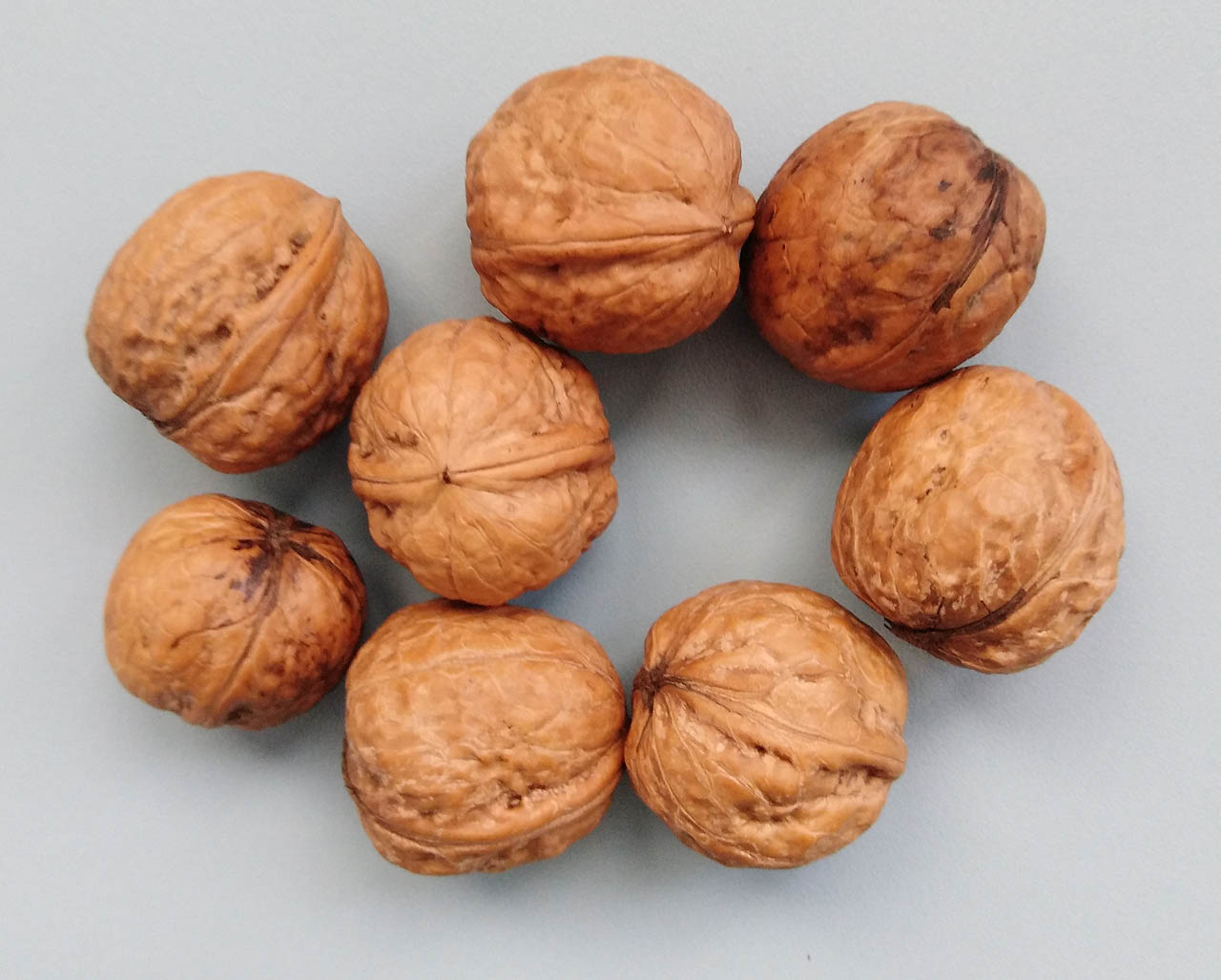 Ve středu už mně bylo jasné (po úterních 14,40 Kč), že jenom z reklamy žít nelze. Naštěstí říjen přinesl do Brna hojnost plodin a tak od 16. 10. vím, že na Hraničkách dozrávají výborné vlašské ořechy. V následujících dnech jsem si mimoděk povšiml taky sposty jabloní, lísek a dokonce buků.