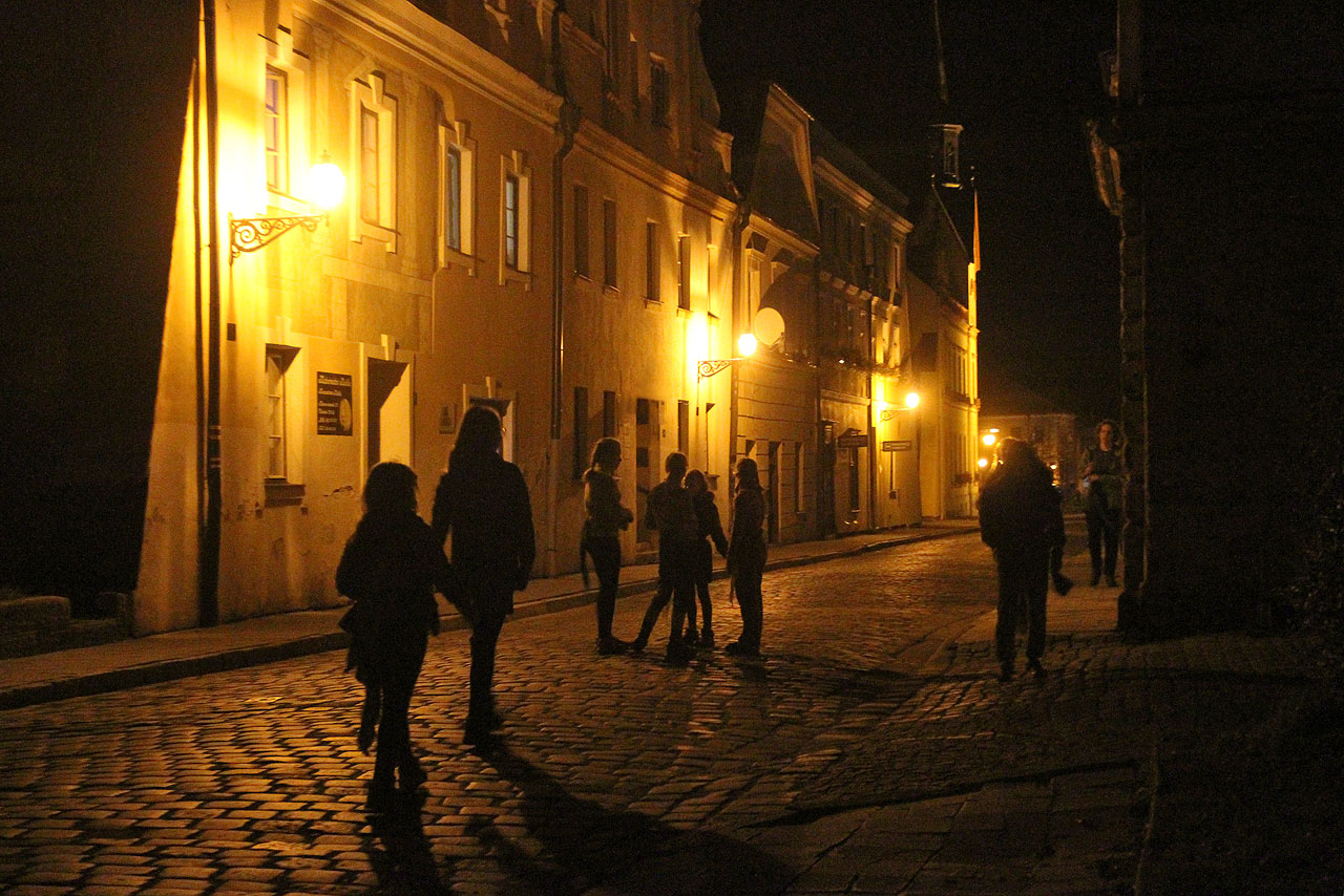 Atmosféra tajemných uliček plných nepřístupných a surových Vontů byla bezmála dokonalá. Jen to sinalé světlo dopadající na dláždění z pouličních lamp nebylo nazelenalé, ale oranžové…