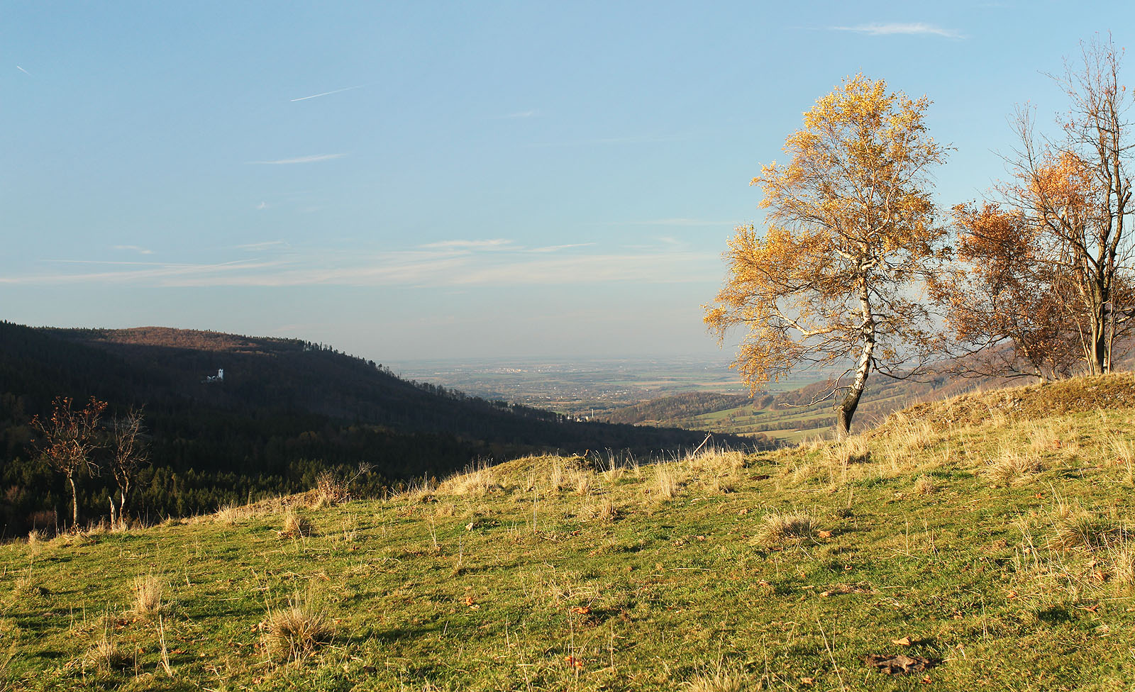 Už roky tvrdím, že víkend nejbližší k 18. říjnu je ten nejbarevnější v roce.