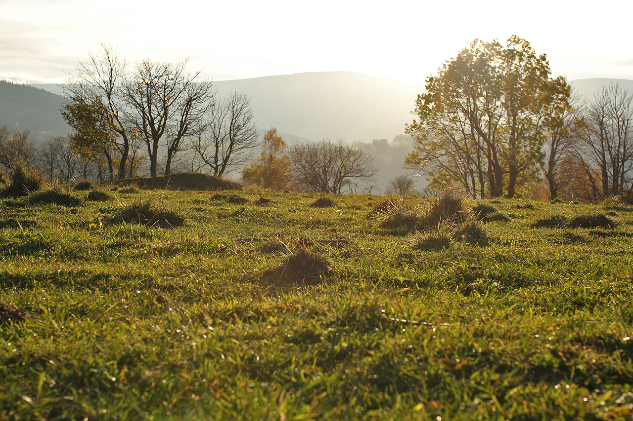 Jeseníky jsou mi ze všech hor světa nejbližší. Prožil jsem tu drsné akce, na kterých jsme bojovali o přežití v mrazu a sněhu, romanitckou lásku a procházky po zaniklých osadách, fascinující pocit z odhalování neznámého, nadšení z nových projektů, nelegální překračování hranice i pocit neskonalého klidu a pohody. A zdaleka s Jeseníky nekončím.