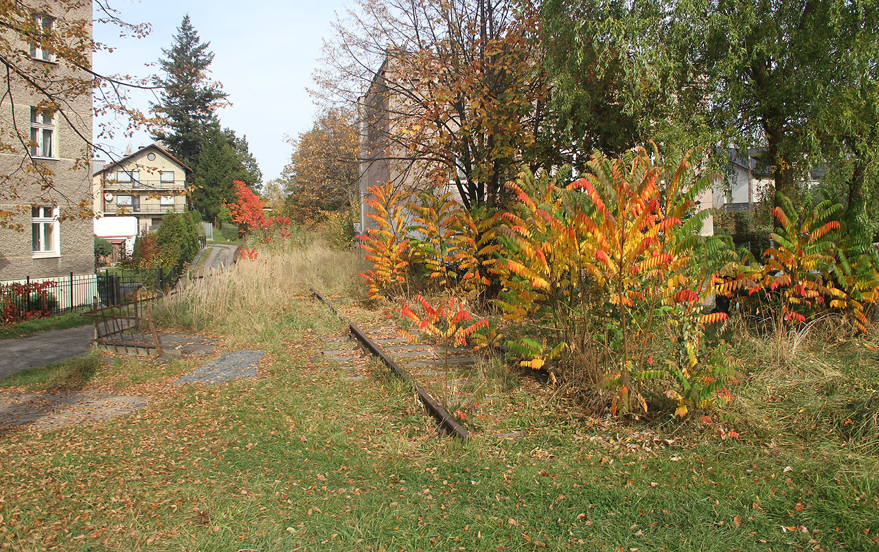 Další głuchołazskou raritou je městská železnice vedoucí od <a href="/Tema/Głuchołazy (žst)">stanice Głuchołazy</a> přes zastávku Głuchołazy miasto (kde byla předloni oficiálně ukončena) do zrušené zastávky Głuchołazy zdrój.