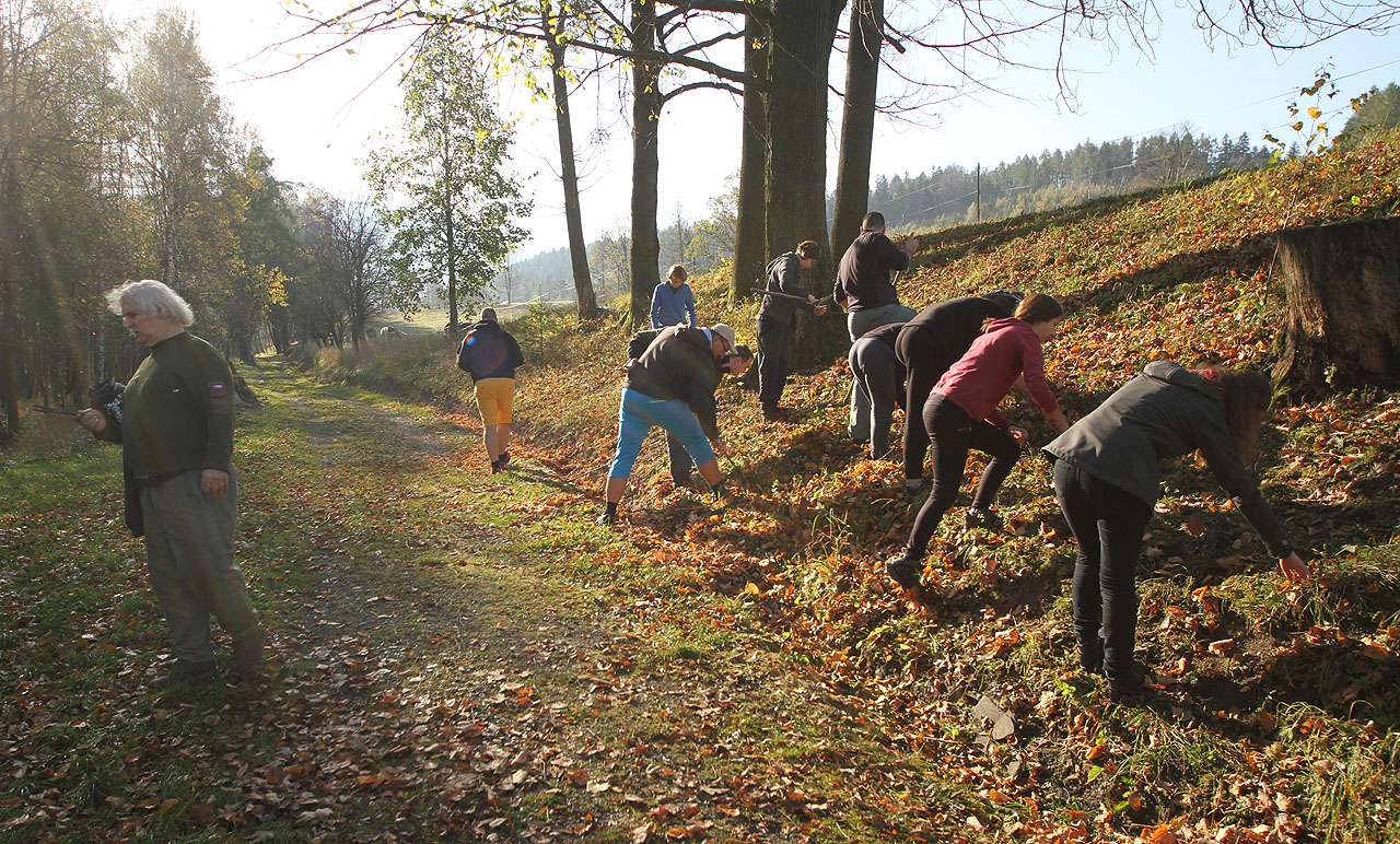 Následovala činnost podobná hledání bušurkenu v kupce listí.