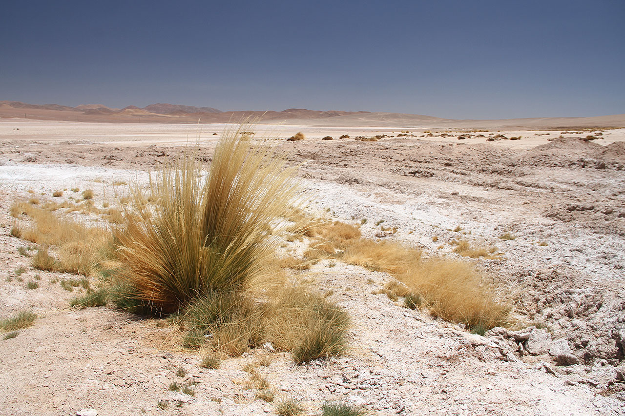 Ve dne je ve zdejších poušítích ohromné vedro a slunce spaluje všechno živé. V noci pro změnu mrzne. K tomu se přidává ve výšce kolem 4000 m řídký vzduch, takže člověka nepřestává bolet hlava.