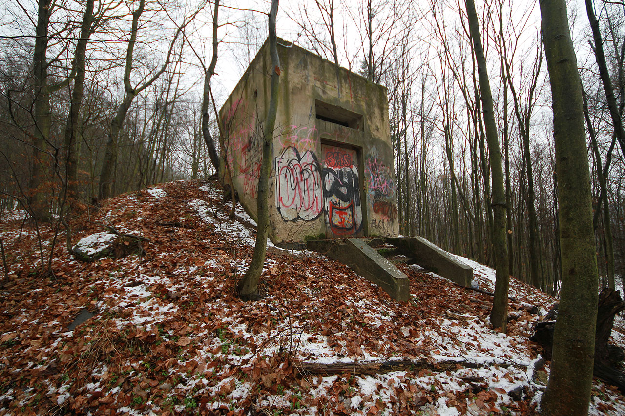 Osamělý mohykán stojí v lesích nad sídlištěm jako memento překotného rozvoje města.