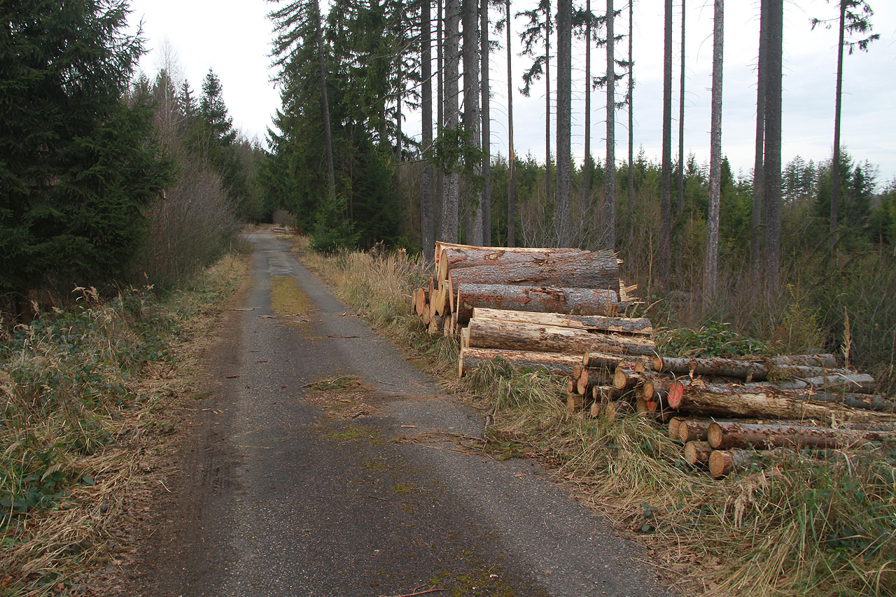 Markéta Munu ještě neznala, pročež jsem se chutě jal funkce průvodce a vyrazili jsme na okružné cestu Munou.