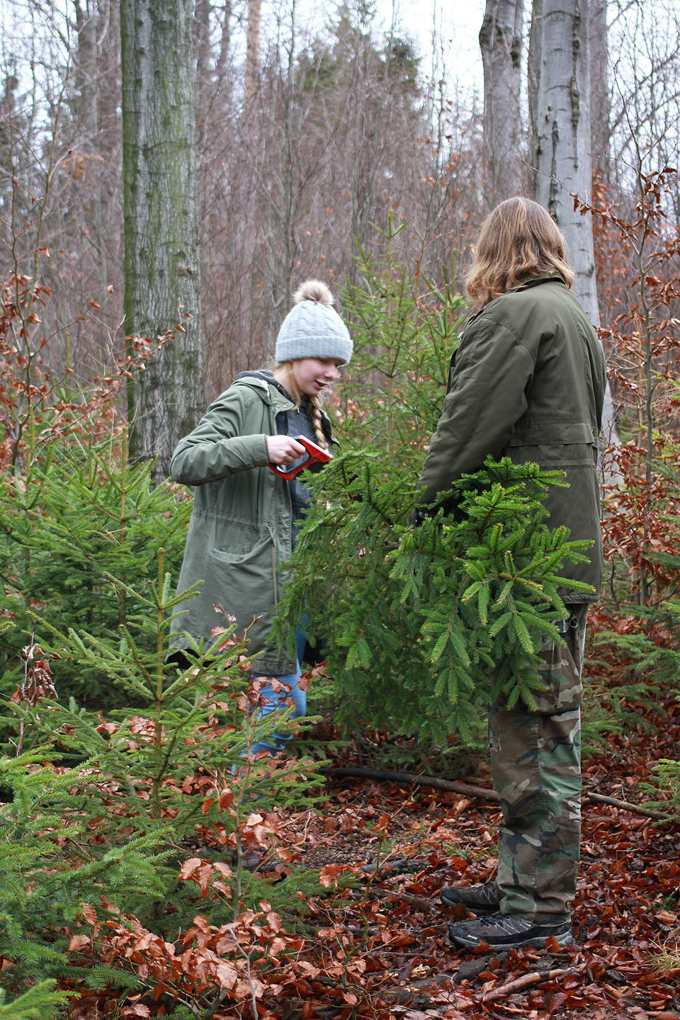 Na Vánoce ráno, Štědrej den zrovna byl, Vláček spolu s Kačkou, stromeček porazil…