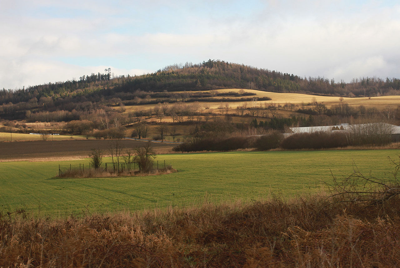 Čtvrtečná výlet do Vítkova a takřka jarní východ sluníčka nad krajinou. Tyhle okamžiky pohnuly mojí duší natolik, že jsem si je musel vyfotit aspoň přes okno vlaku (zvaného rakev).