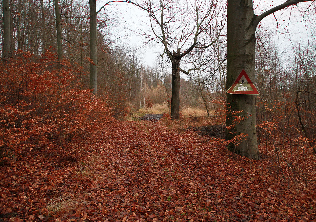 Před západem slunce jsme přišli ke štole. Zajímalo by mě, zda byla značka s přejezdem bez závor myšlena vážně, protože opodál skutečně vycházela ze štoly úzkokolejná drážka, nebo šlo jen o pozdější recesi.