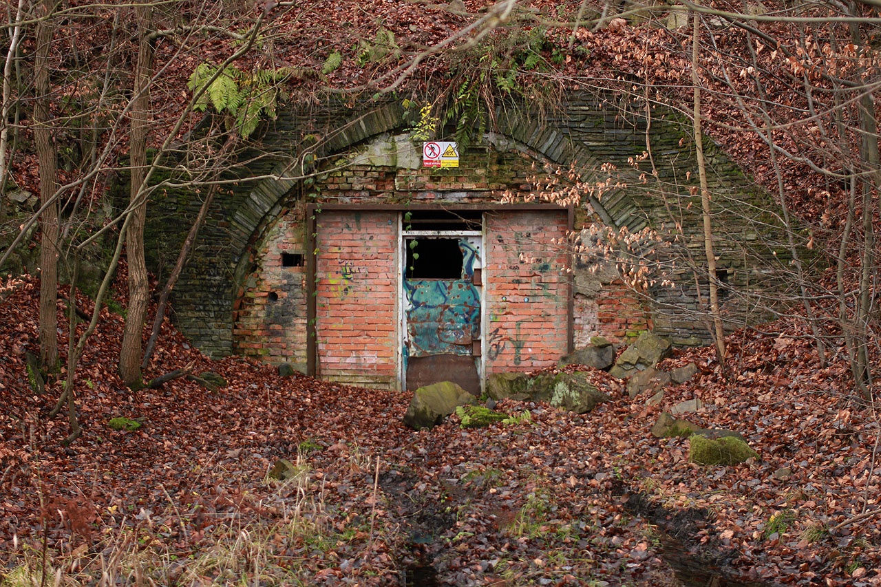 Vstup do štoly je ukryt v lese na takovém místě, že jsem jej ani jednou ze svých tří cest nedokázal najít bez vydatného bloudění.