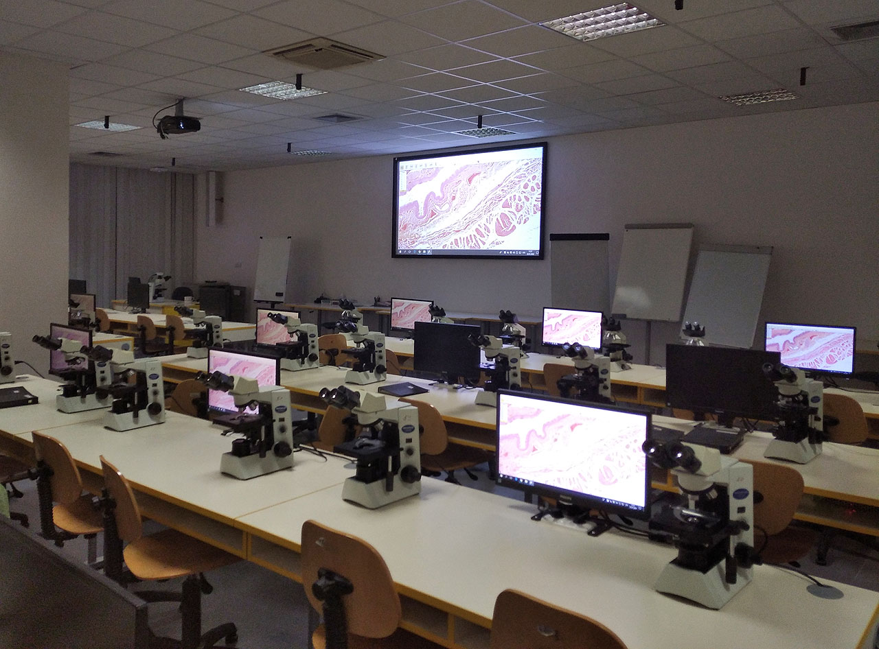 Mikroskopovací sál v budově A1 kampusu.