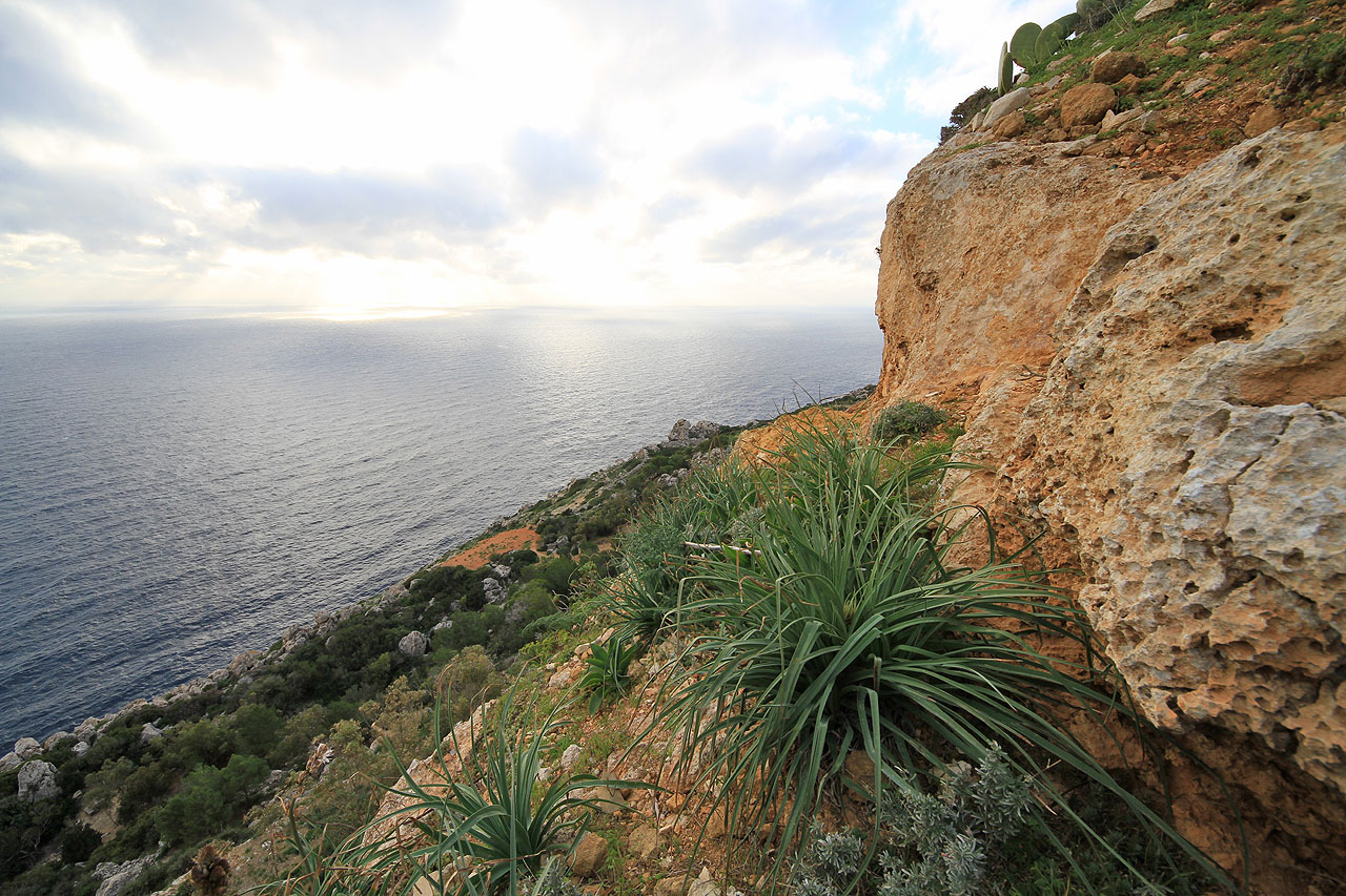 Jednou se sem vrátím a strávím noc pod převisem nad útesem s výhledem až kamsi k Africe.