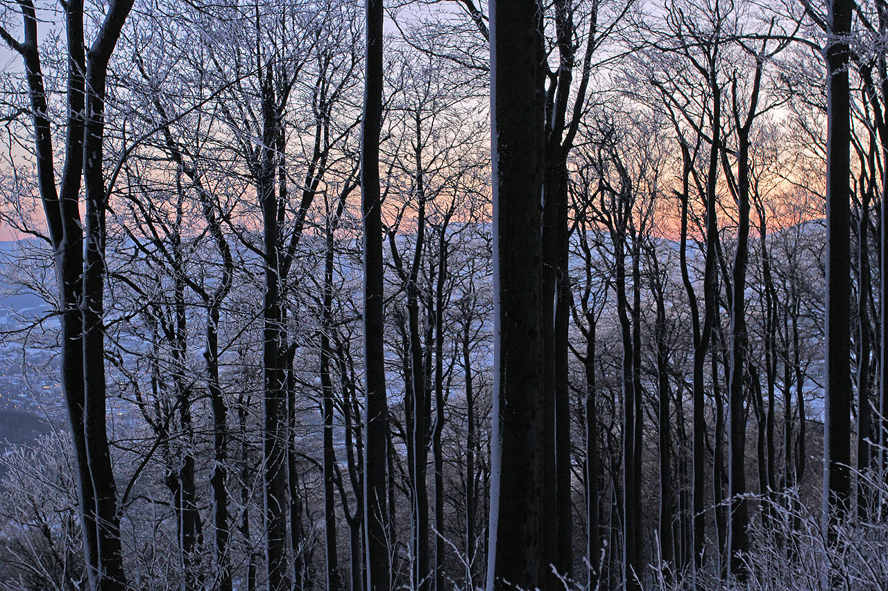 Vendy mě celou cestu strašila, že nestihneme východ slunce a utrhneme si kus ostudy. Pod vrcholem jsem jí to vzhledem k červánkům již skoro uvěřil.