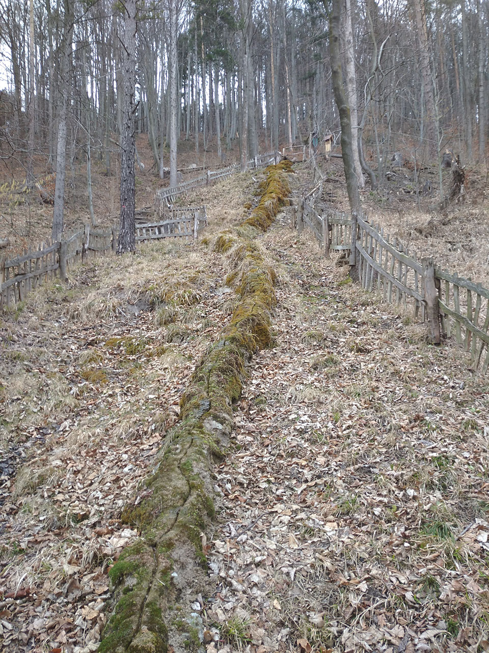 Na zpáteční cestě mně ještě Doubí ukázala Travertinovou kaskádu v Tiché.