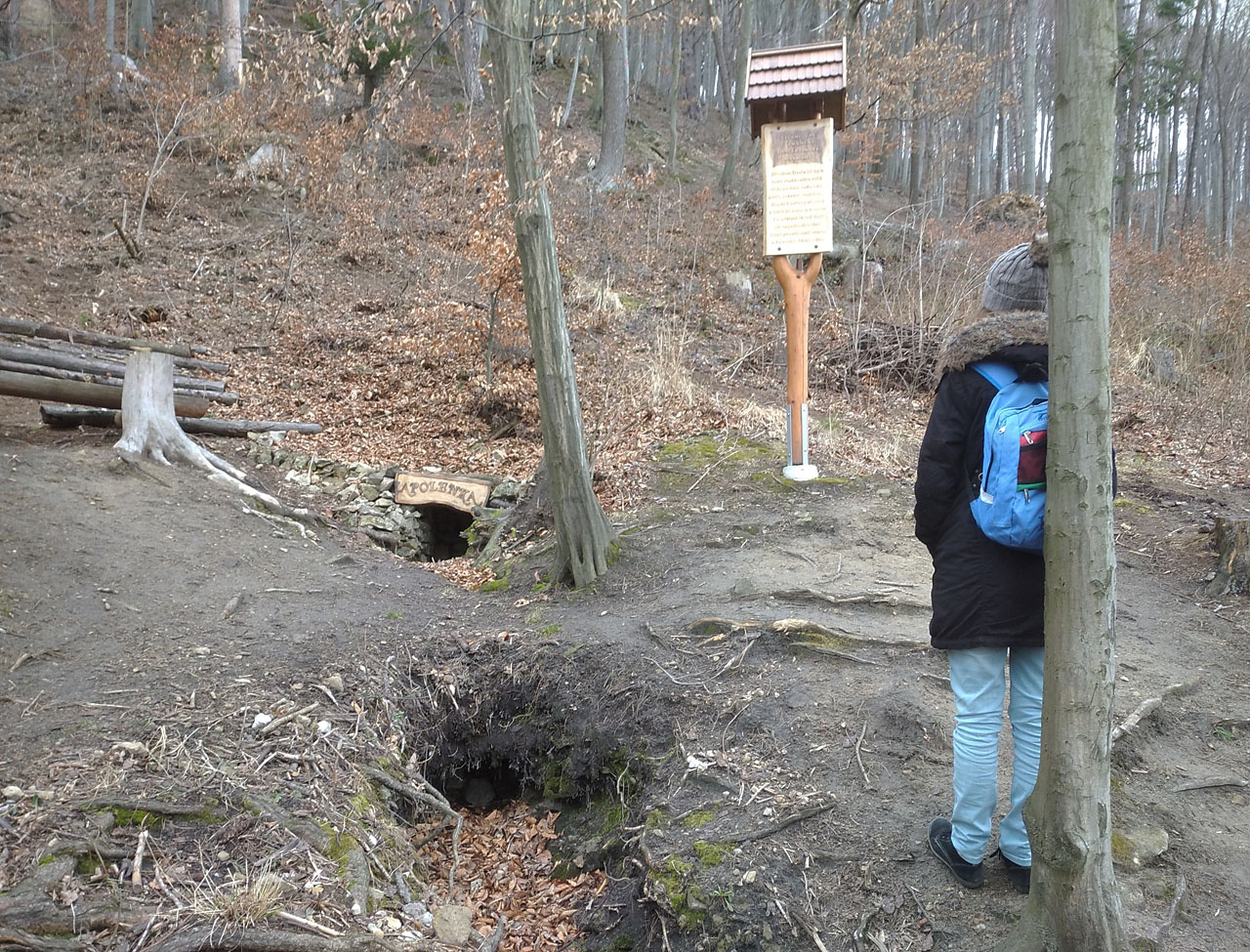 Voda z pramene Apolenky tu vyvěrá s vysokým obsahem vápence, který se usazuje podél potůčku a vznikají tak zvláštní hřebenovité tvary.