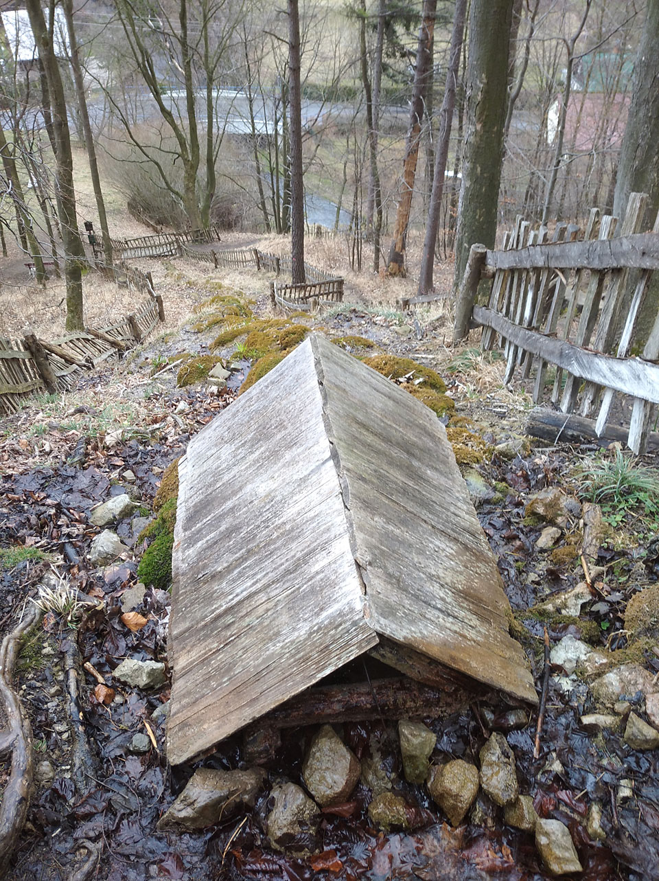Loučím se s přírodní rezervací, záhy také s Doubí a mířím přes Ostravu a pendolinem do Olomouce. Přitom dostávám tak silné záchvaty horečky, že málem nedojedu domů. Uzdravit se mně bude trvat ještě pár dní. Tentokrát bez plesů.
