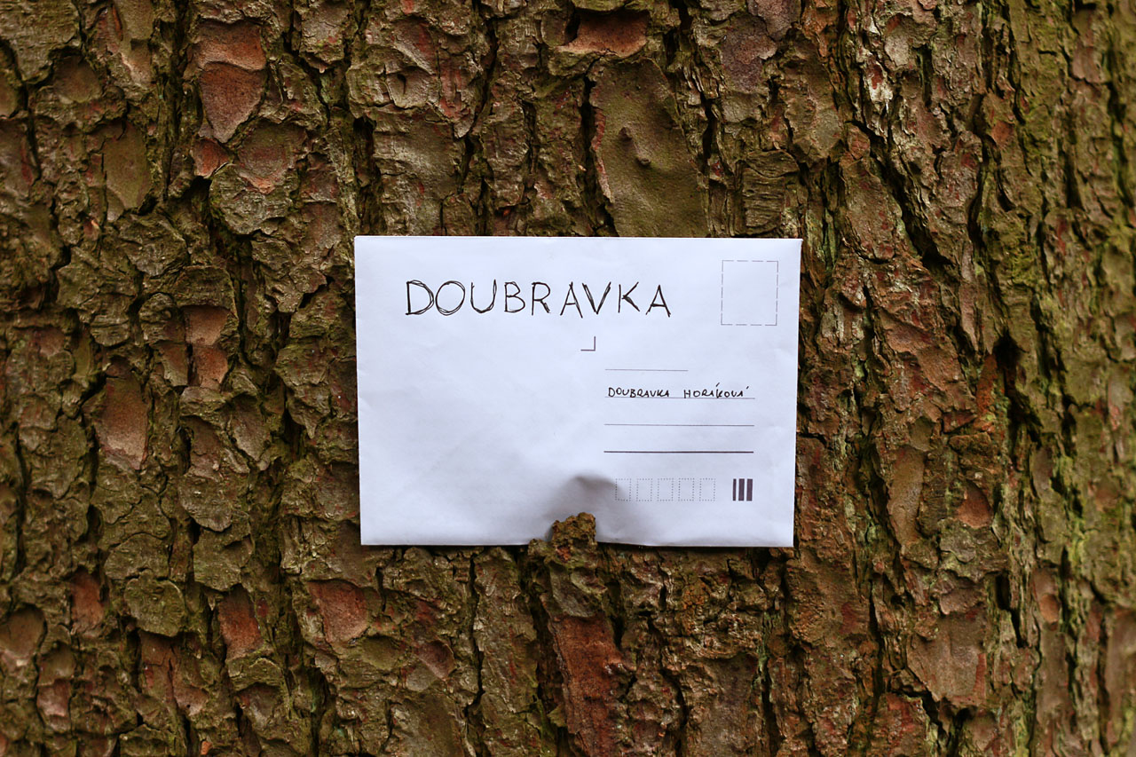 Kdo ví, jak dlouho dopis v liduprázdném údolí čekal, než ho někdo ze stromu sebral, utrhl vítr nebo prostě zetlel.