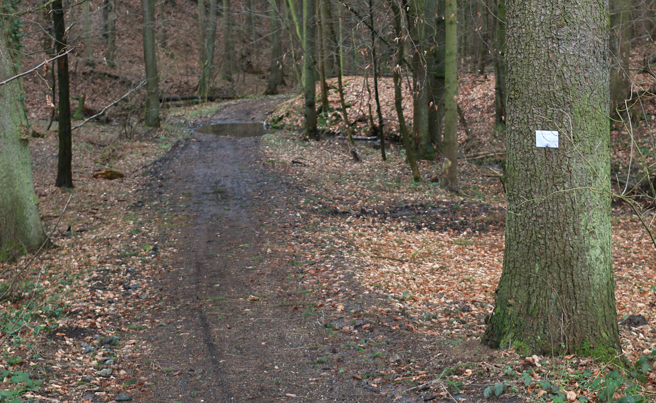 Kopii dopisu nechávám pro jistotu schovanou pro Doubravku ještě v údolí. Počítám (jak se později ukázalo nesprávně),. že se tudy ze své kobky vydá pěšky do Přibyslavic za babičkou, asi 12 km.