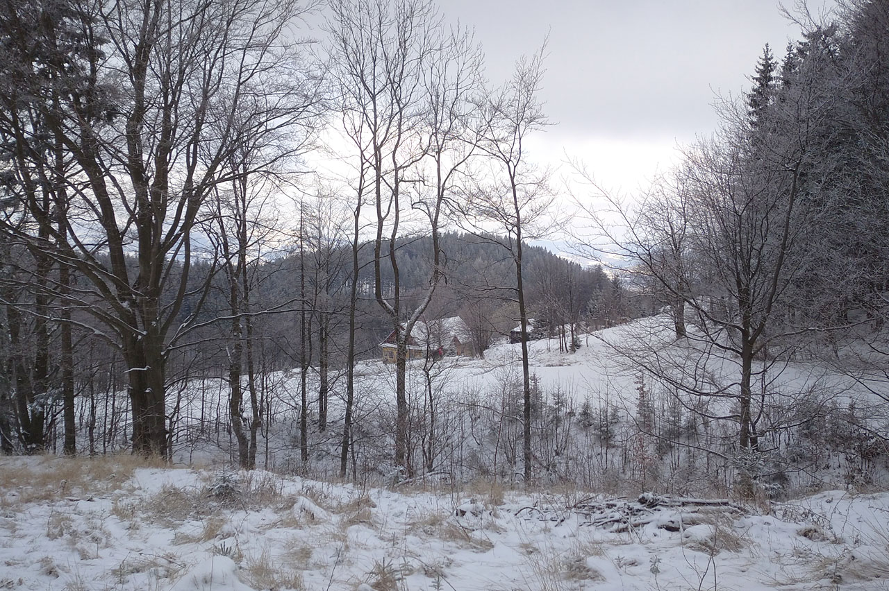 Protože to tady zná, vzala mě k Ivančeně zajímavou zkratkou kolem osady Hradové.