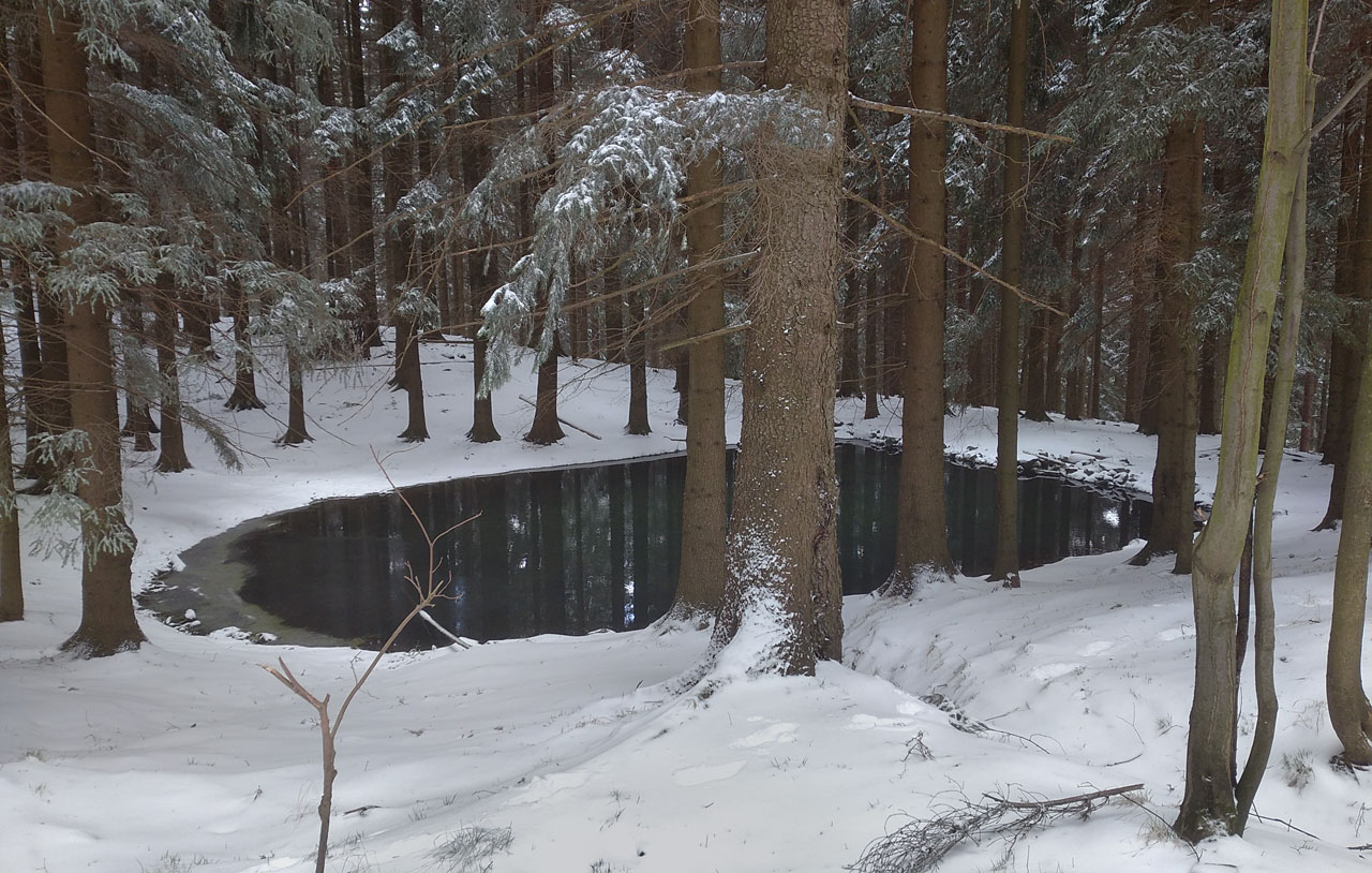 Před polednem jsme se vydali hledat rybníček na Chladné vodě, který znám od roku 2000, ale není v žádné mapě. Dovedly nás k němu stopy ve sněhu.