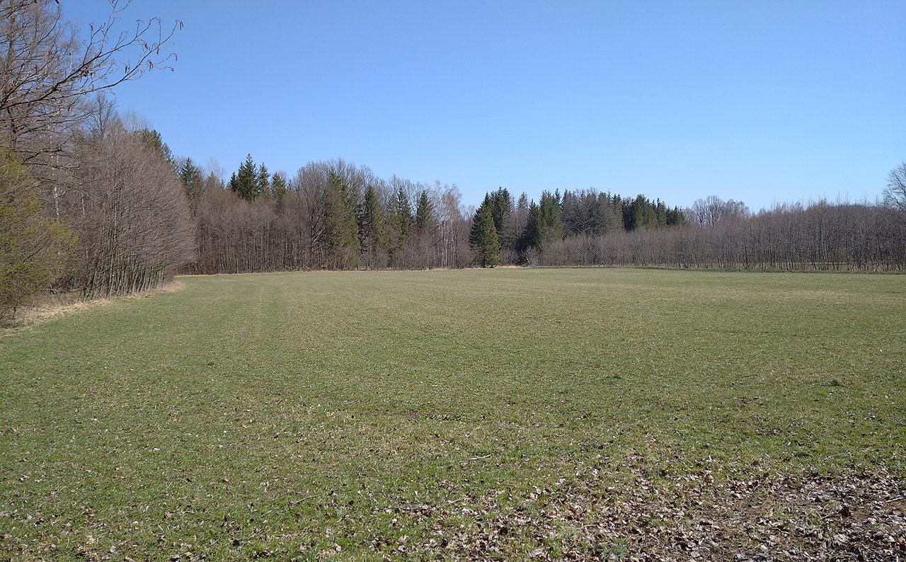 Tahle louka se pro tábor jeví jako ideální. A málem to nakonec v květnu i vyšlo, nebýt toho, že ve Velkém rybníce je voda plná peří a trusu od nekonečných hejn kačen. Koupání v čisté vodě by nám tu prostě chybělo.