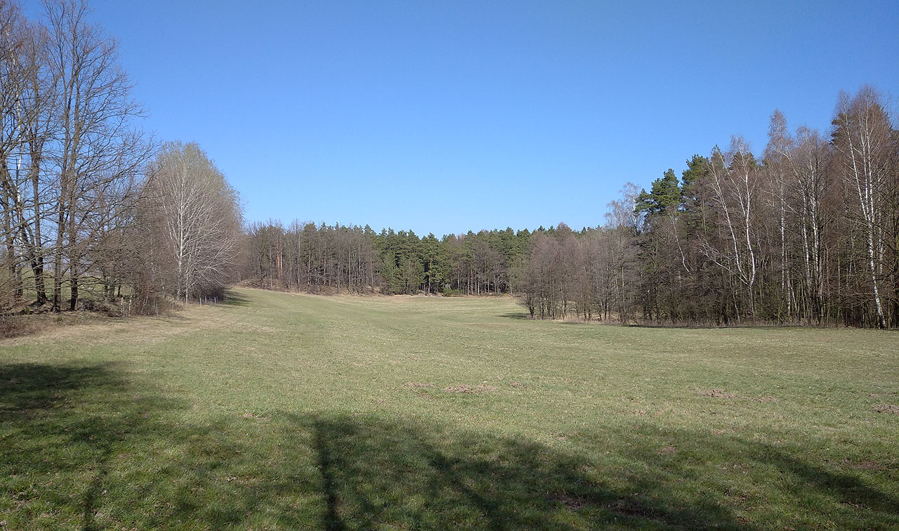Krásné louky směrem ke Kobvalé nad Vidnavkou. Se slezou v oku vzpomínám na rok 2004, kdy jsme tu bloudili dva dny se Stopařem.