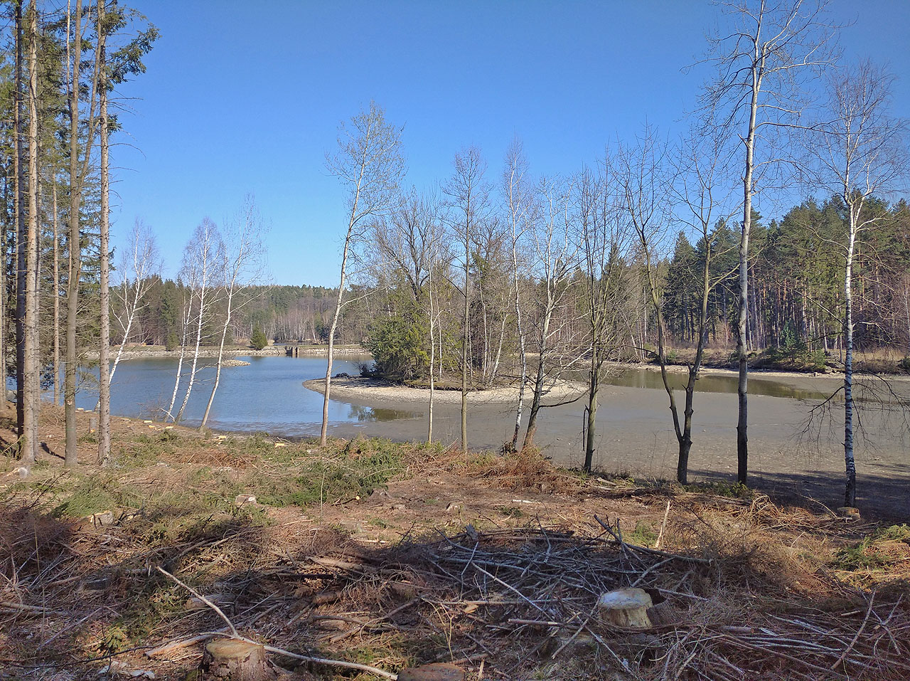 Místo nad horním rybníkem U Dubu se jmenuje poetiucky Odlehlá pole. Ale i tady řádil kůrovec, který poškodil suchem oslabené smrky.