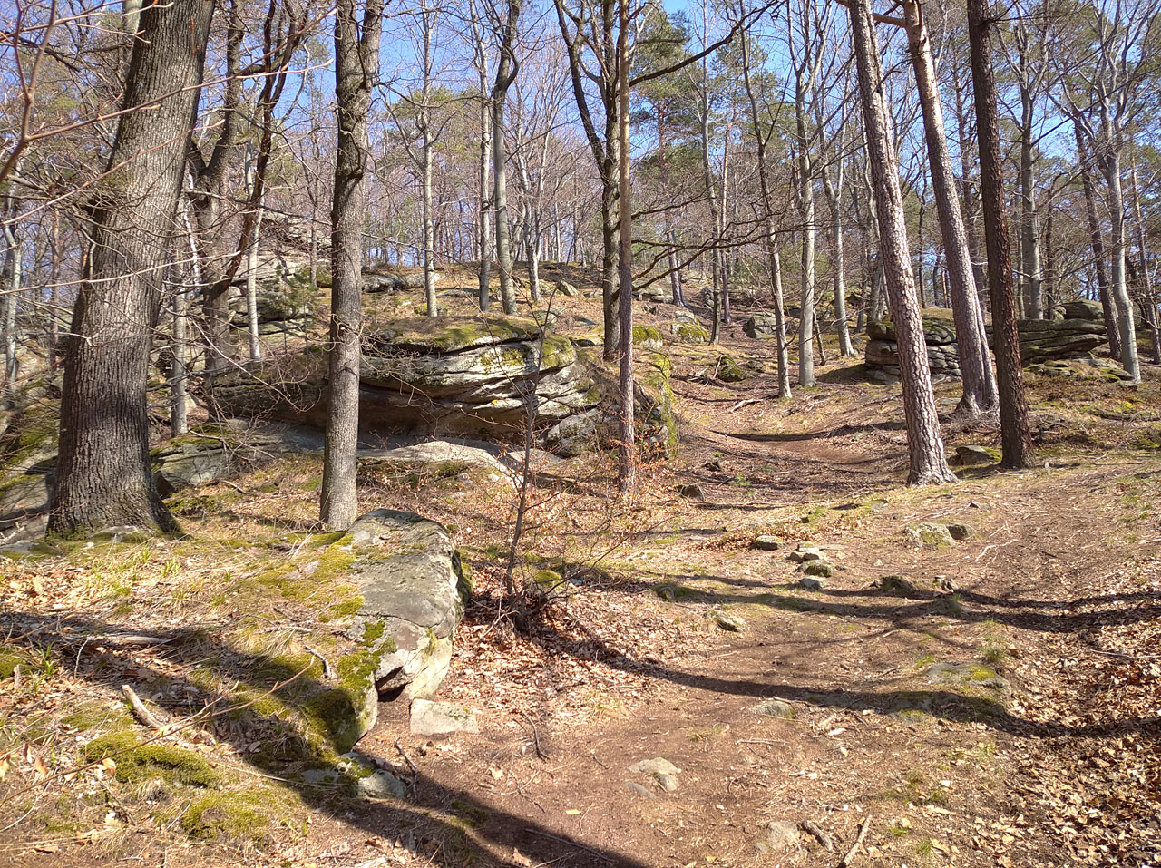 Čistá jarní poezie.<br>&nbsp;<br>„Slyšíš tu píseň větrů v korunách borovic? Slyšíš tu píseň dálek závratných? Tiše a velebně šumí hlavy stromů. Záře slunce červenavá stéká po jejich rozpukaných kmenech a vůně pryskyřic tě omámí…“.