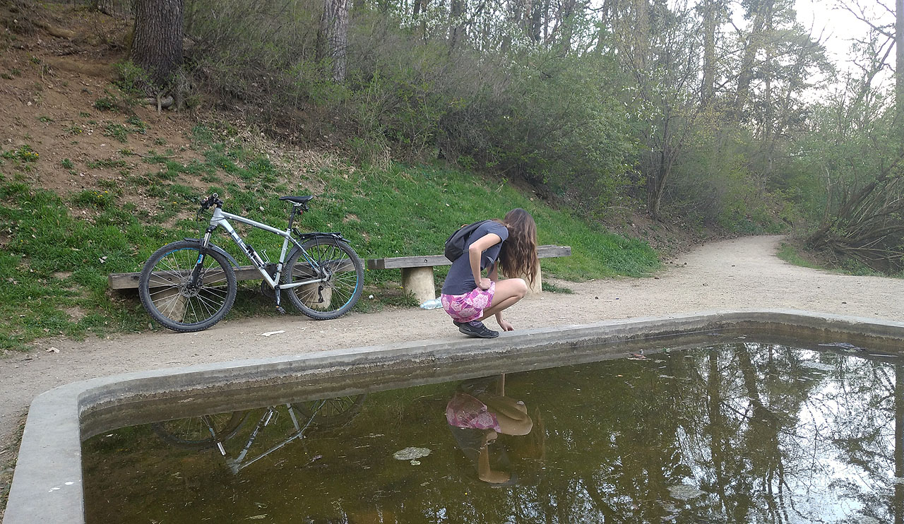 Bazén, jež sloužil chorým, je dnes příjemně opuštěnou líhní žabg. Mám radost, že je opravený a plný vody. Když jsem ho v roce <a href="/clanek/147">náhodou objevil</a>, vypadal o poznání hůře.