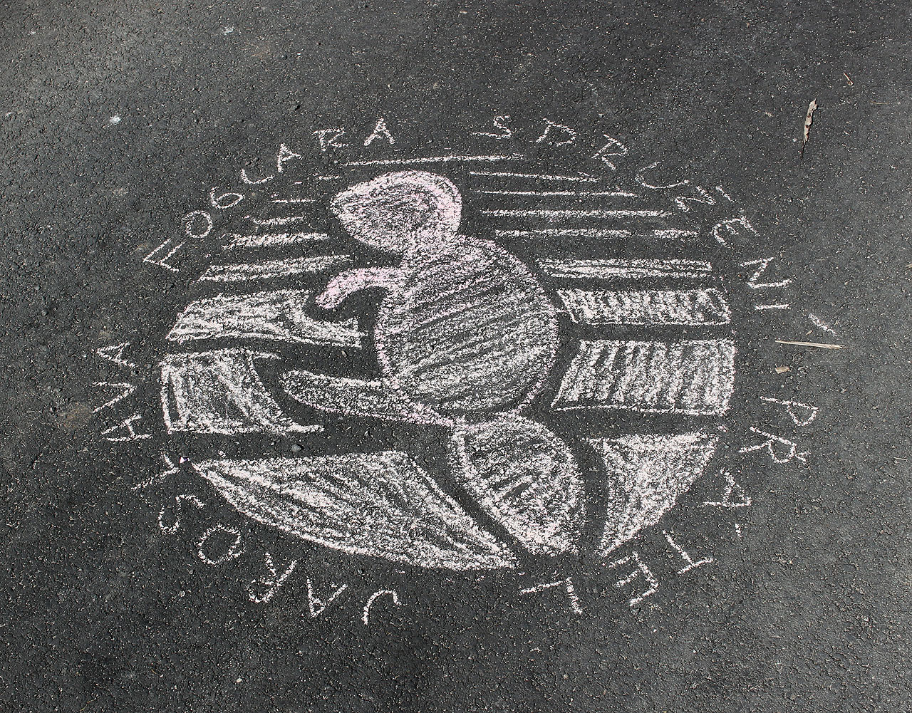 Nedělní ráno je třpytivé. Procházíme <a href="/Tema/Bor u Skutče">Borem u Skutče</a>, kde nechaly nezbedné děti na silnici pohozené křídy, a rozhodujeme se, že půjdeme po červené značce tak dlouho, dokud nás to bude bavit. Není, kam spěchat - zítra je Velikonoční pondělí.