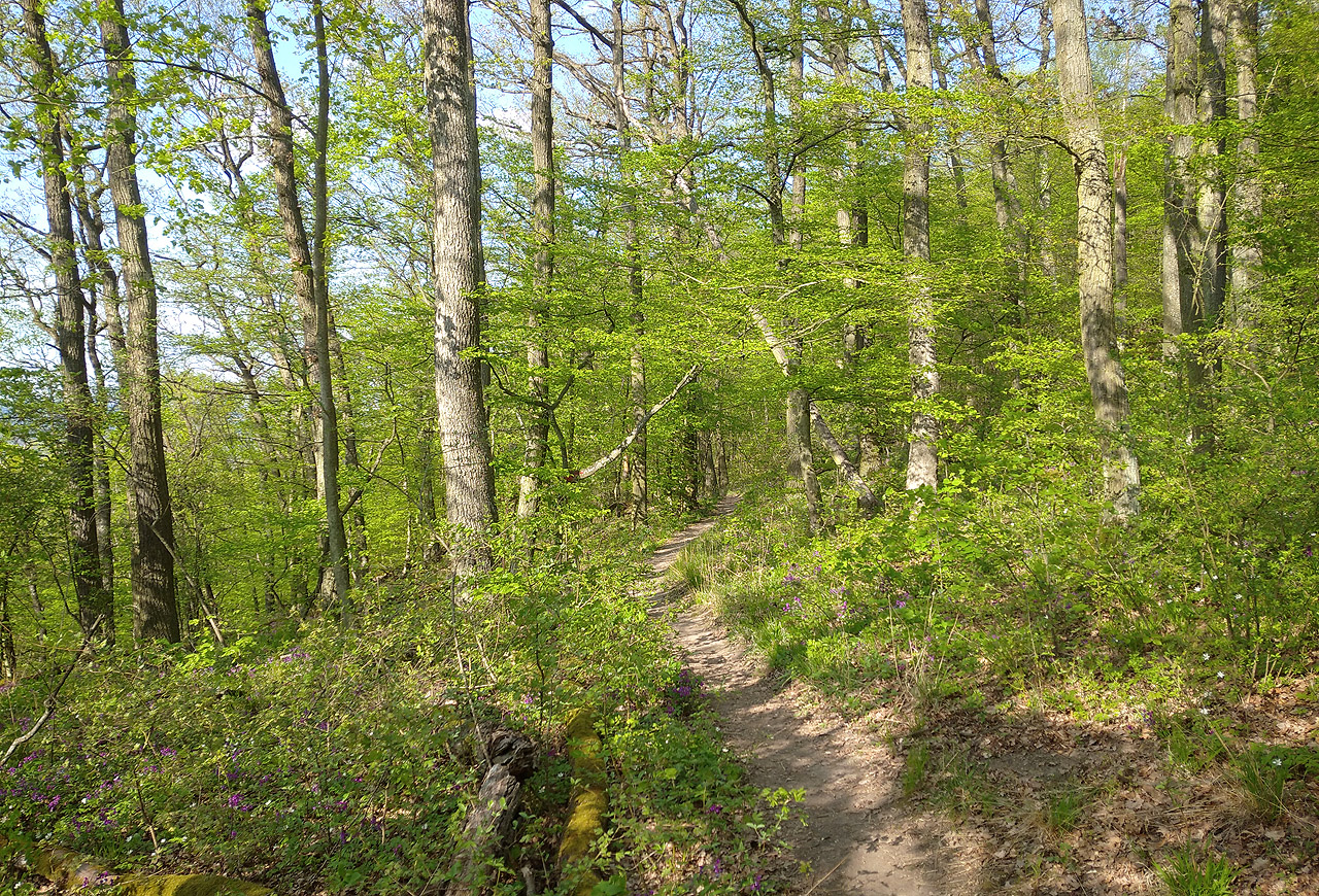 Takhle má vypadat jaro. Škoda, že v Gruzii to nevěděli.