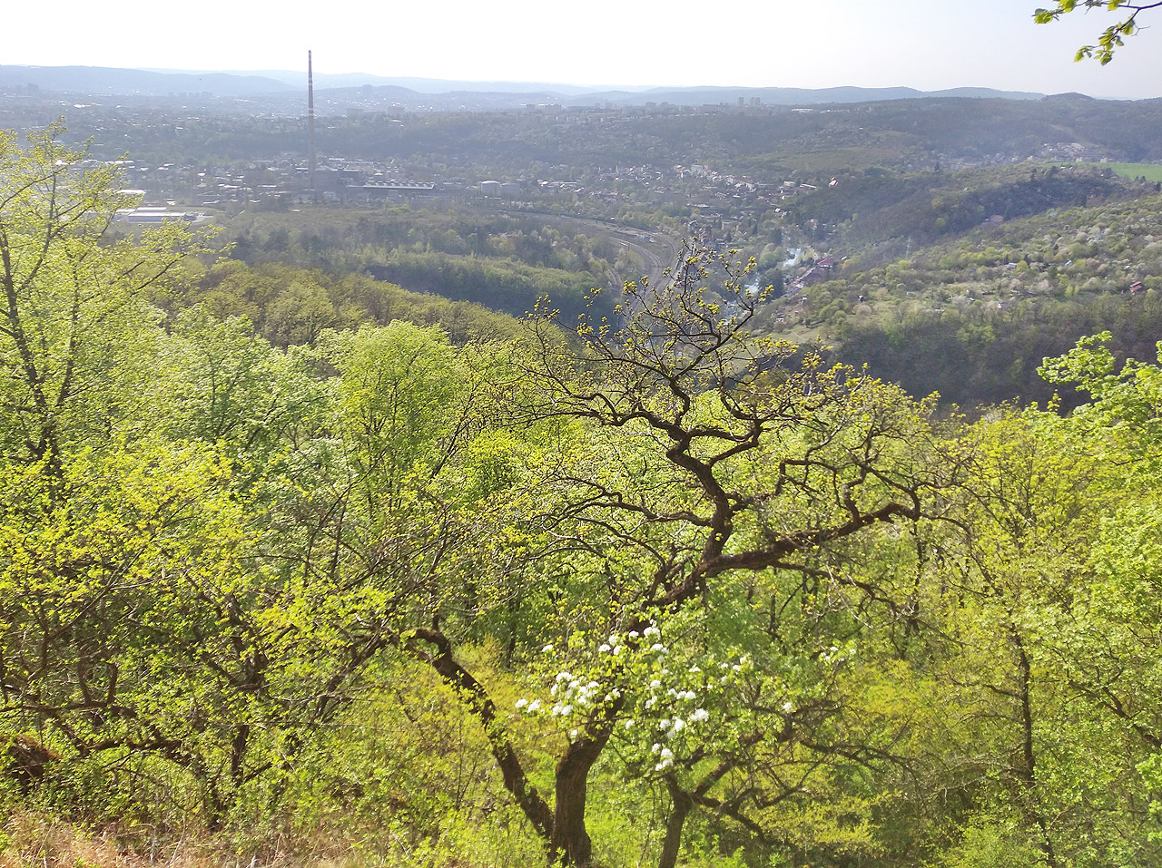 Pohled zpátky přes záda na Brno.