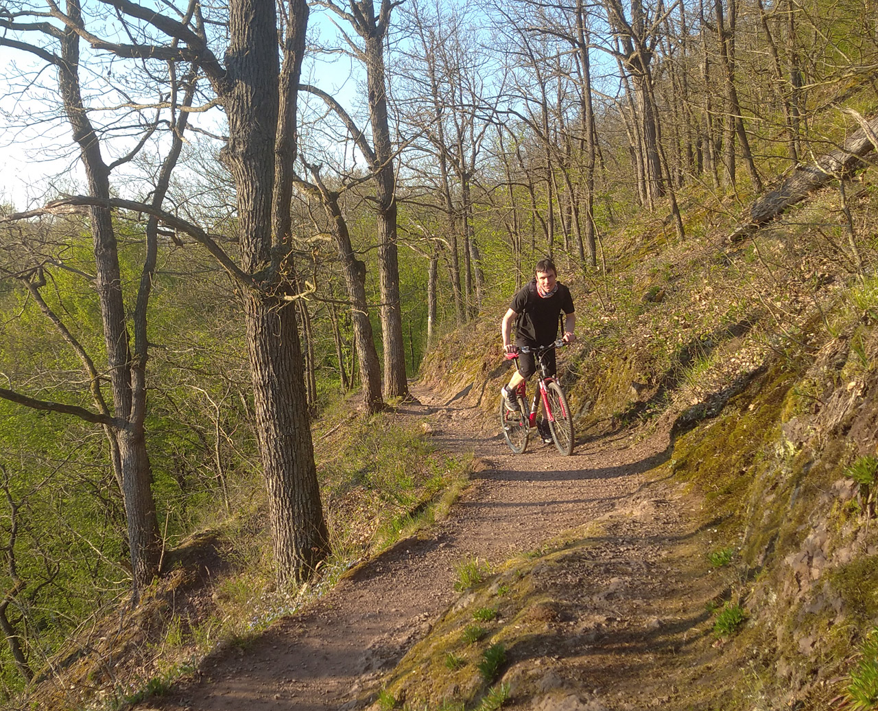 Zato ¥ se stále drží v sedle. Jak jinak?