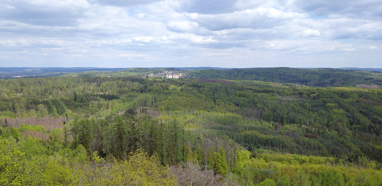 Vranov utopený v jarním lese.