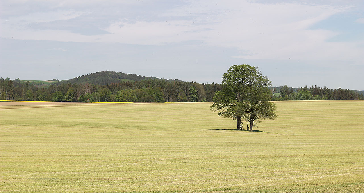 Jak vlny osením po tobě hrají mé vzpomínky a touhy rodný kraji.