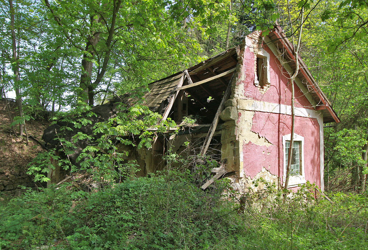 Jednotlivé lázeňské pavilony tu pojídá les.
