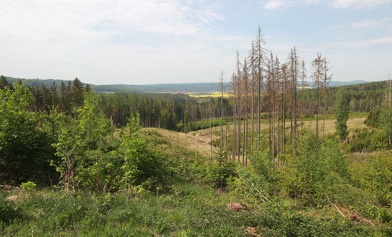 Nad Vanovicemi se rozkládají rozlehlé lesy, které by v této oblasti možná čekal jen málokdo. Cítíme se skoro jako ve skutečných horách.