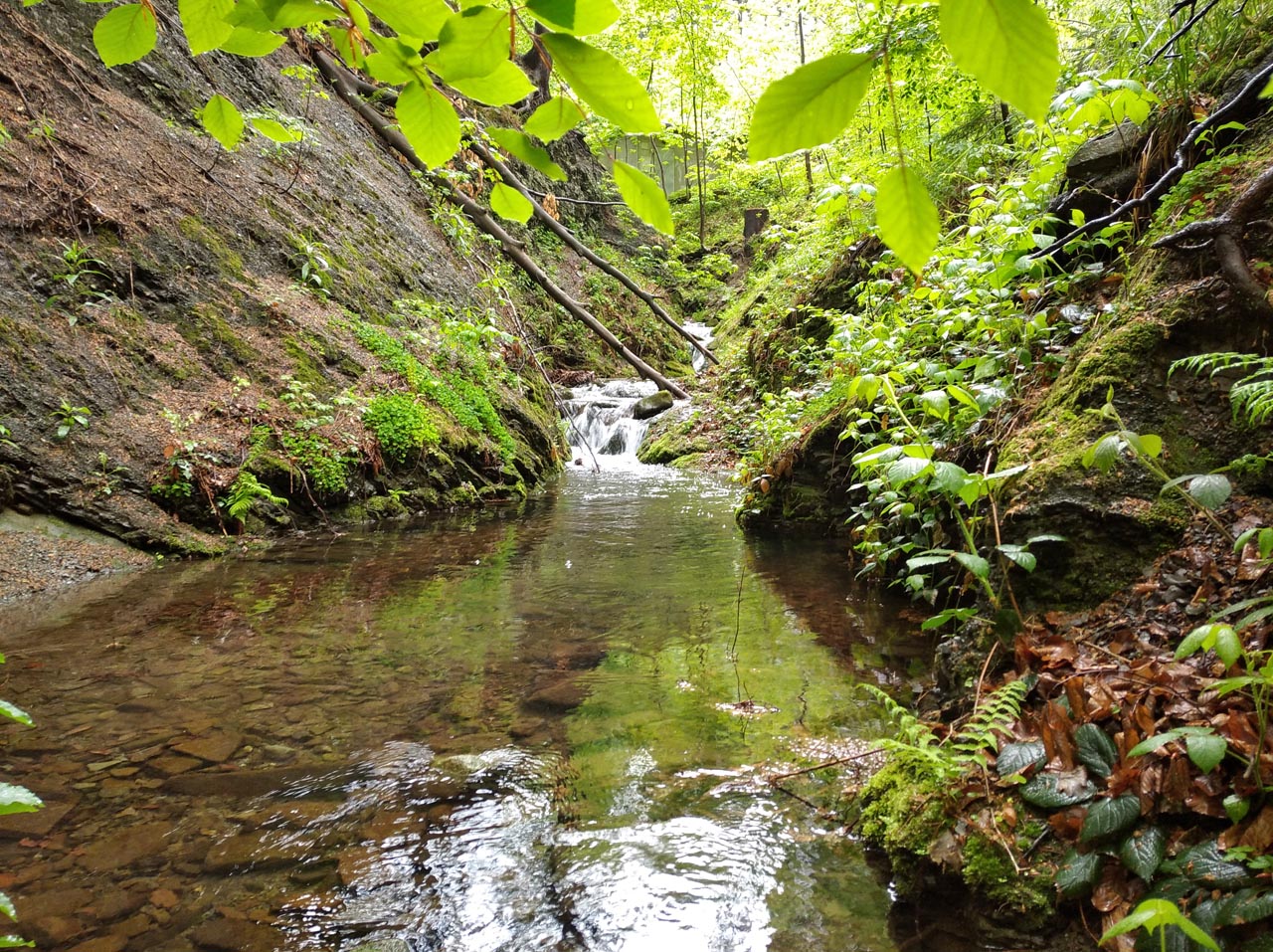 Na noc jsme zatábořili v údolí potoka Malé Ráztoky. Střídavě ovšem pršelo, takže jsme jen smutně vyhlíželi zpod plachty. 