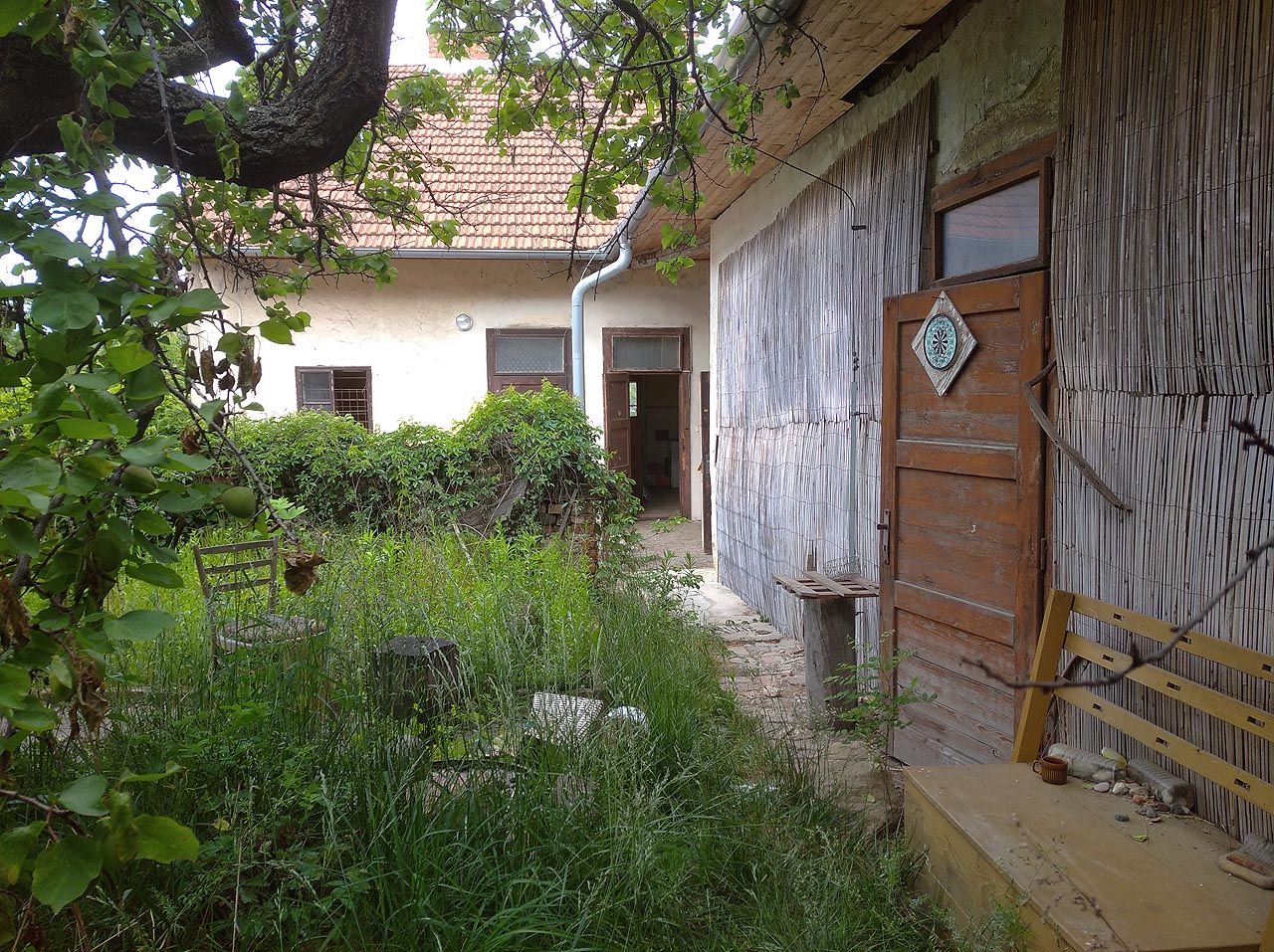 Horní dvůr domu Úvoz 14 se starou hrušní jako by vypadl z nějaké pohádkové knížky. Je odsud výhled na střechy domů a klášter na Mendlově náměstí, uvnitř ale panuje zelená divočina.