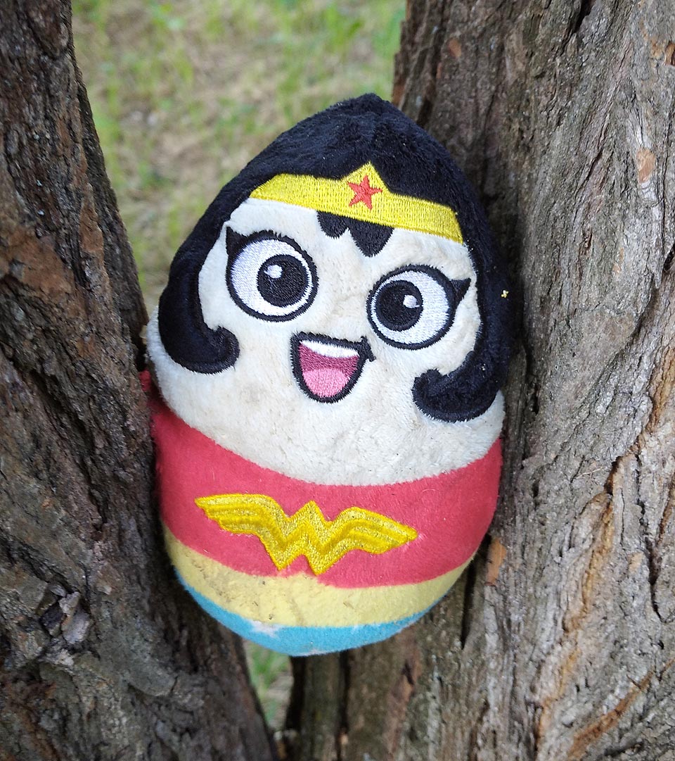 Největším objevem schůzky byl plyšový polštářek ve tvaru Wonder woman. Nikdo mně nevysvětlil, proč má tahle ryze americká postavička na čele rudou hvězdu a na prsou cosi jako okřídlené kolo.