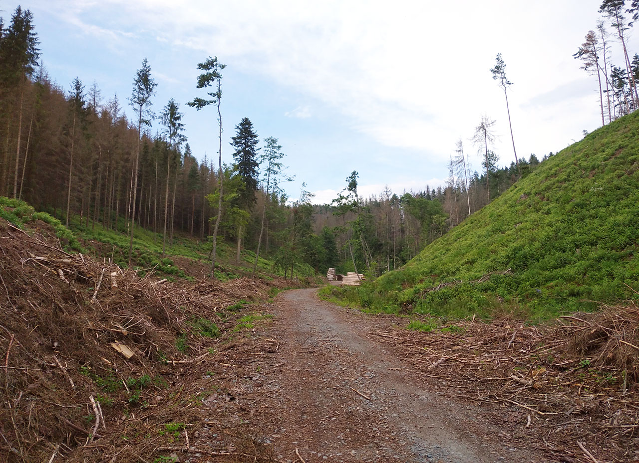 Z Ráječka stoupáme údolím potoka Chrábku vzhůru k Petrovicícm.